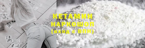 гашик Вяземский