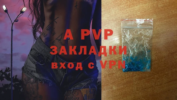 ГАЛЛЮЦИНОГЕННЫЕ ГРИБЫ Вязники
