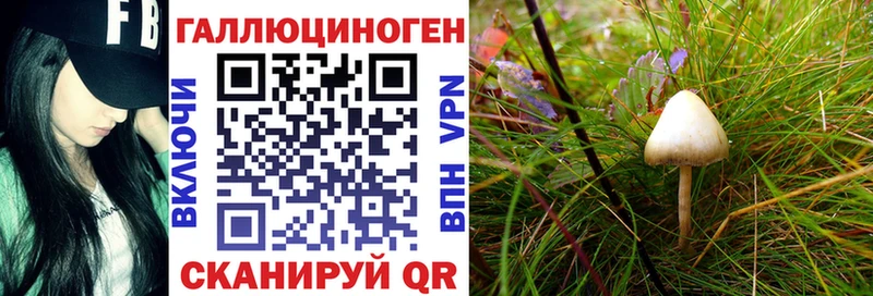 Псилоцибиновые грибы Psilocybe  МЕГА ССЫЛКА  Ува 
